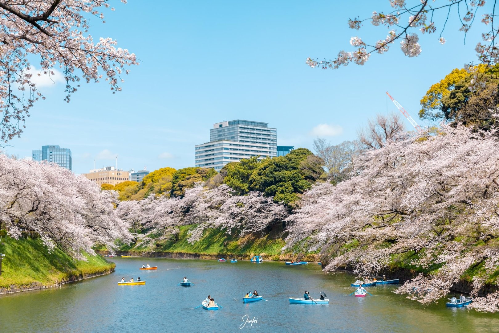 Python使用ddddocr库解决携程验证码